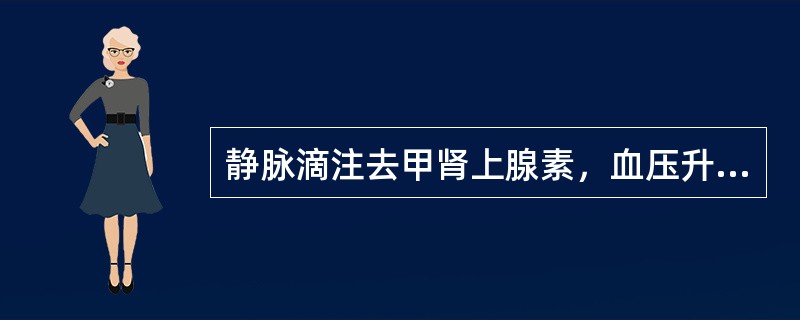 静脉滴注去甲肾上腺素，血压升高的主要机制是（）