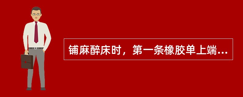 铺麻醉床时，第一条橡胶单上端距床头的距离为（）