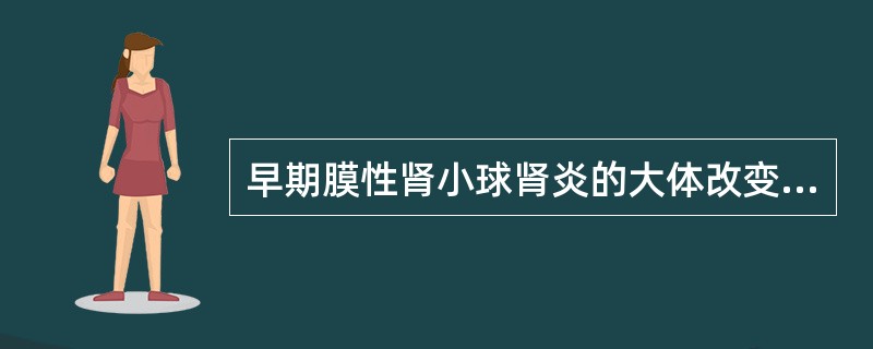 早期膜性肾小球肾炎的大体改变呈（）