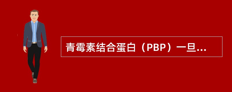 青霉素结合蛋白（PBP）一旦与抗生素亲和力升高，就可导致细菌耐药。（）