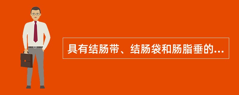 具有结肠带、结肠袋和肠脂垂的肠管是（）