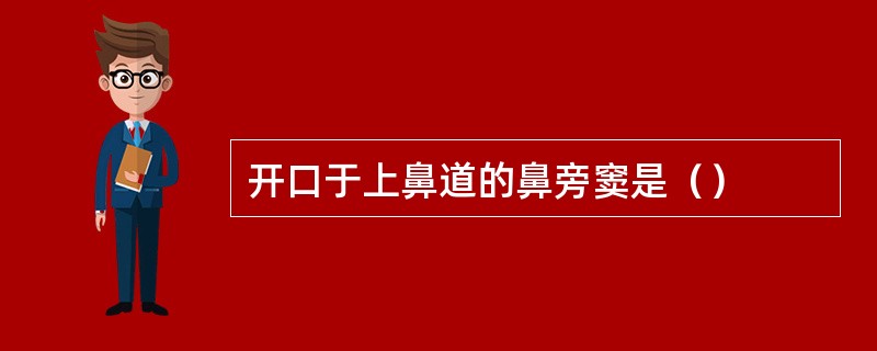 开口于上鼻道的鼻旁窦是（）