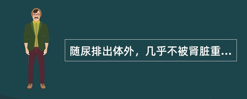 随尿排出体外，几乎不被肾脏重吸收的物质是（）