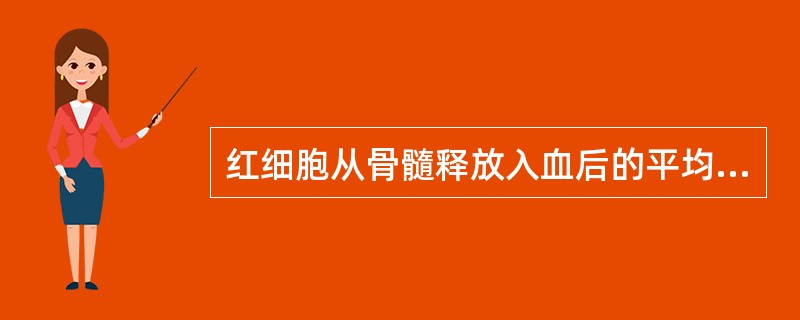 红细胞从骨髓释放入血后的平均寿命约为（）