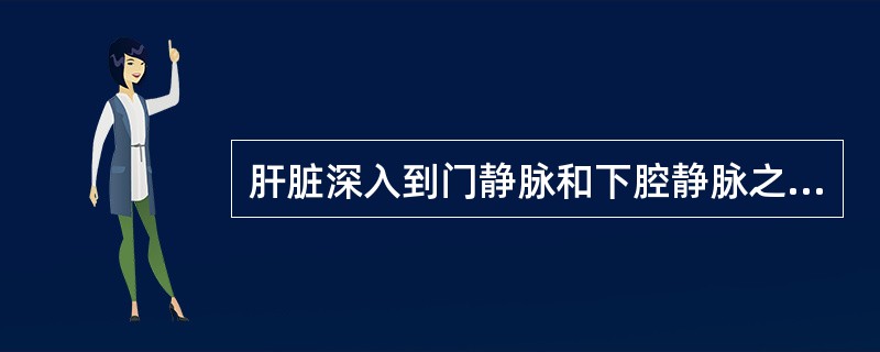 肝脏深入到门静脉和下腔静脉之间的乳头状突属于肝方叶。（）