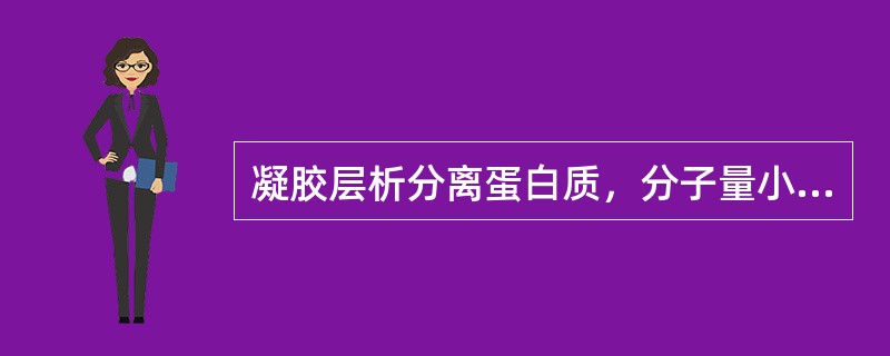 凝胶层析分离蛋白质，分子量小的蛋白质先洗脱出来。（）