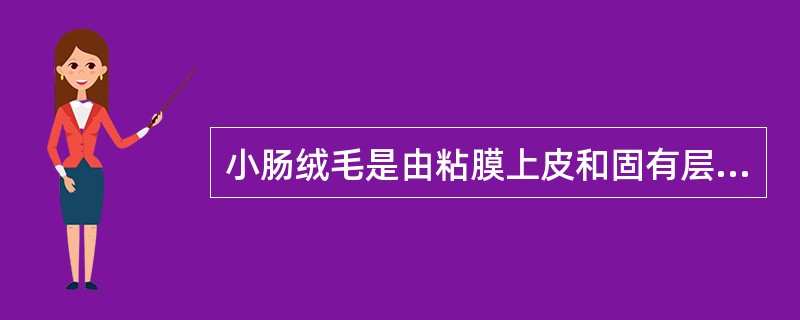 小肠绒毛是由粘膜上皮和固有层向肠腔突出而成。（）