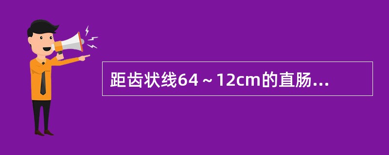 距齿状线64～12cm的直肠癌肿，宜采用（）