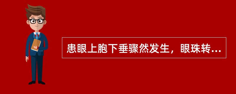 患眼上胞下垂骤然发生，眼珠转动不灵，目偏视，视－为二，头晕.恶心，泛吐痰涎；舌苔厚腻，脉弦滑.宜用（）