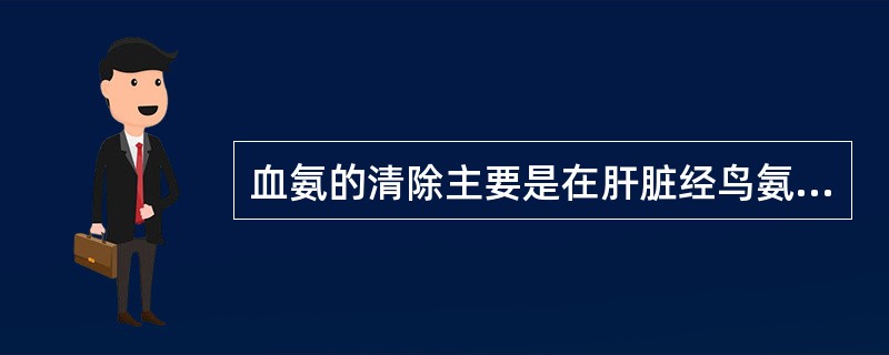 血氨的清除主要是在肝脏经鸟氨酸循环合成尿素，再经肾排出体外。（）