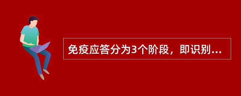 免疫应答分为3个阶段，即识别阶段，淋巴细胞活化、分化增殖阶段以及效应阶段。（）