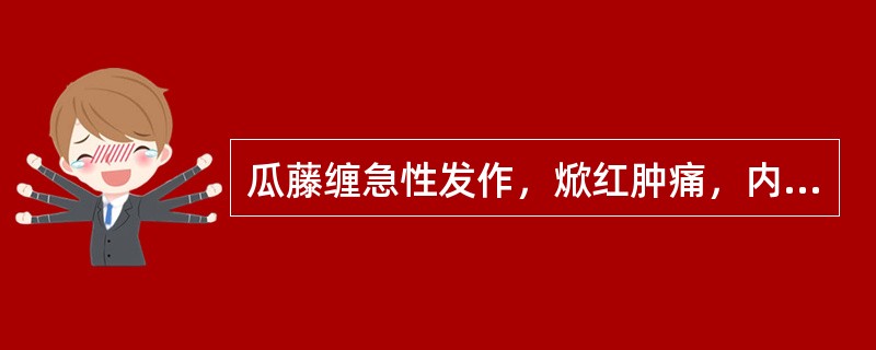 瓜藤缠急性发作，焮红肿痛，内治首选（）