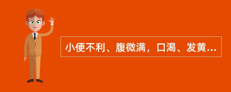 小便不利、腹微满，口渴、发黄者宜用（）