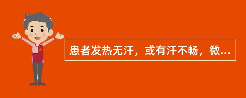 患者发热无汗，或有汗不畅，微恶风寒，头痛口渴，咳嗽咽痛，舌尖红，苔薄白或微黄，脉浮数。治宜（）