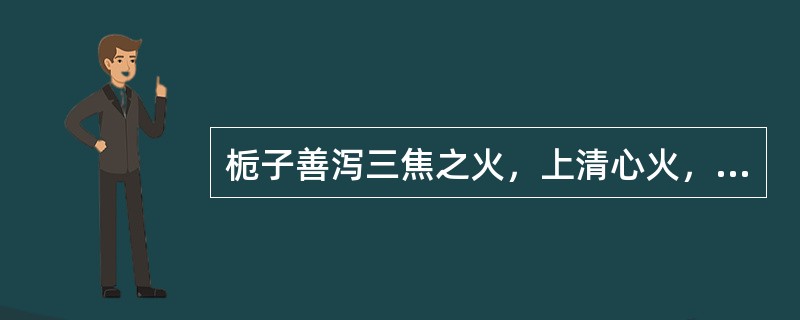 栀子善泻三焦之火，上清心火，中泻胃火，下泻肾火。（）