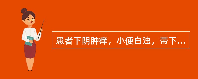 患者下阴肿痒，小便白浊，带下黄臭，口苦咽干，胁痛易怒，舌红苔黄，脉弦数有力。治宜（）