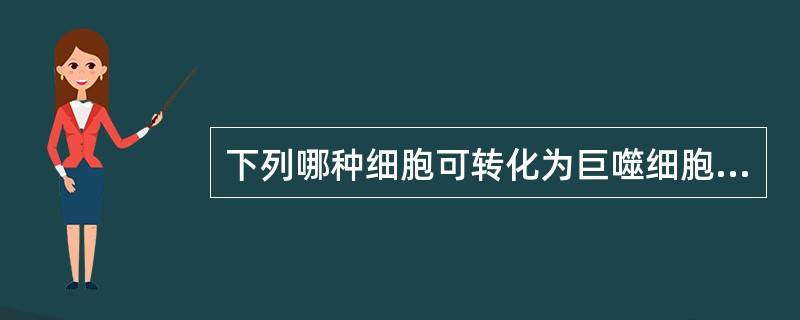 下列哪种细胞可转化为巨噬细胞（）