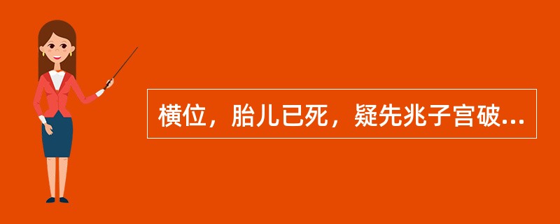 横位，胎儿已死，疑先兆子宫破裂，可行断头术或碎胎术。（）