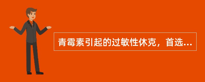 青霉素引起的过敏性休克，首选治疗措施是用抗组胺药。（）