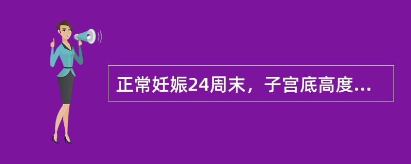 正常妊娠24周末，子宫底高度在（）