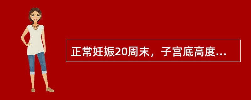 正常妊娠20周末，子宫底高度在（）