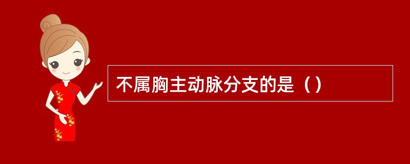 不属胸主动脉分支的是（）