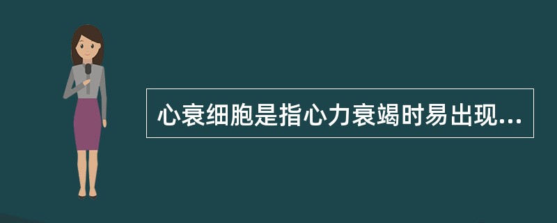 心衰细胞是指心力衰竭时易出现的（）