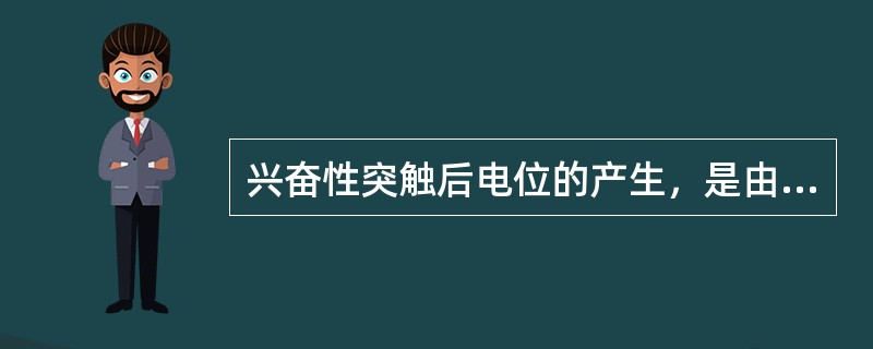 兴奋性突触后电位的产生，是由于突触后膜提高了对下列哪种离子的通透性（）