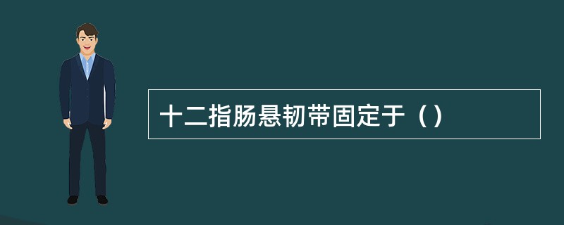 十二指肠悬韧带固定于（）