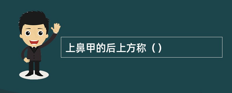 上鼻甲的后上方称（）