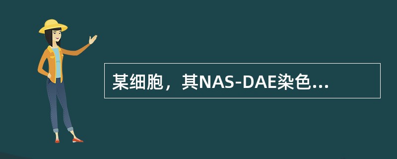 某细胞，其NAS-DAE染色、POX染色、NAS-DCE染色均呈强阳性，初步可判断该细胞属于下列哪类细胞（）