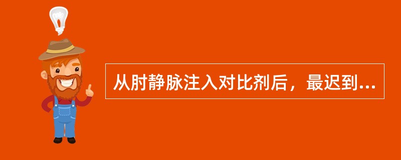 从肘静脉注入对比剂后，最迟到达的部分是（）