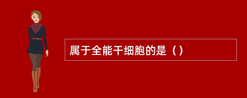 属于全能干细胞的是（）