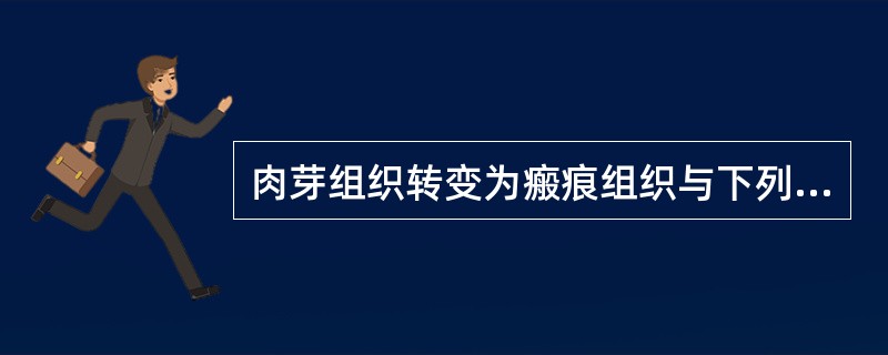 肉芽组织转变为瘢痕组织与下列哪一项无关（）
