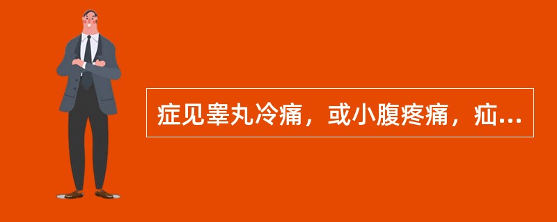 症见睾丸冷痛，或小腹疼痛，疝气痛，畏寒喜暖，舌淡苔白，脉沉迟。选下列何方治疗最佳（）