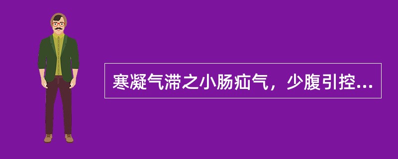 寒凝气滞之小肠疝气，少腹引控睾丸而痛，偏坠肿胀。治宜天台乌药散。（）