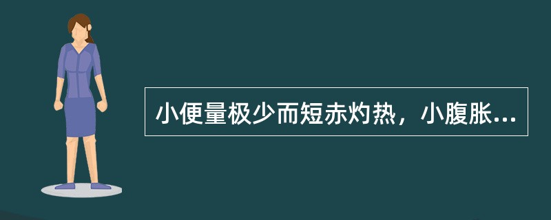 小便量极少而短赤灼热，小腹胀满，口苦口黏，舌质红，苔黄腻，脉数。治宜首选的治法是（）