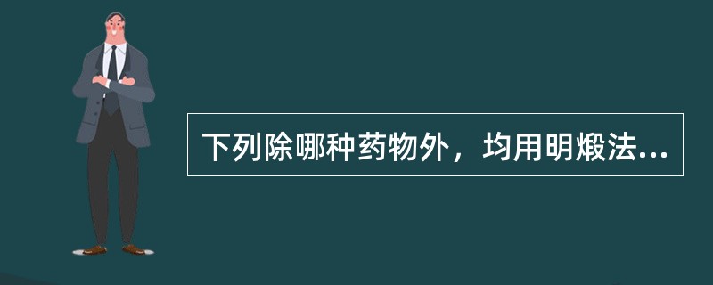 下列除哪种药物外，均用明煅法炮制