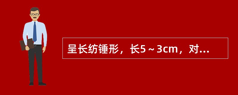 呈长纺锤形，长5～3cm，对光透视有一条不透明的木心，味甜，微苦的药材是