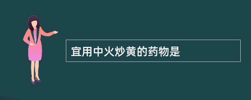 宜用中火炒黄的药物是