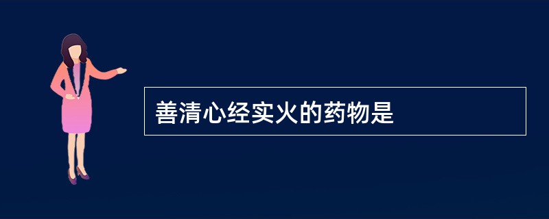 善清心经实火的药物是