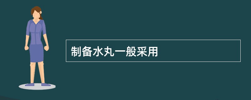 制备水丸一般采用