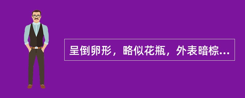 呈倒卵形，略似花瓶，外表暗棕红色，全身被有突起的刺状小点。此药材是