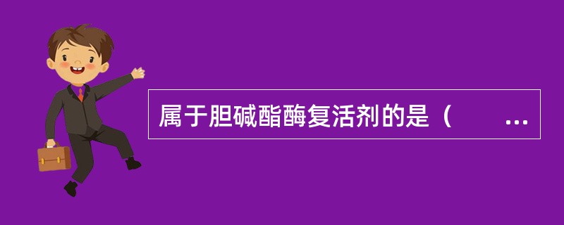 属于胆碱酯酶复活剂的是（　　）。