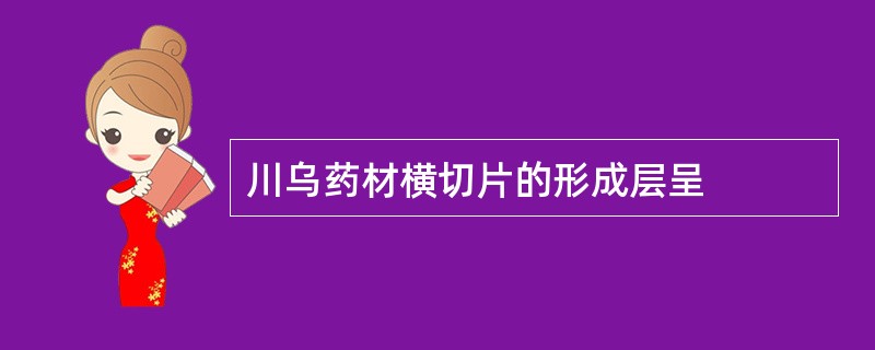 川乌药材横切片的形成层呈