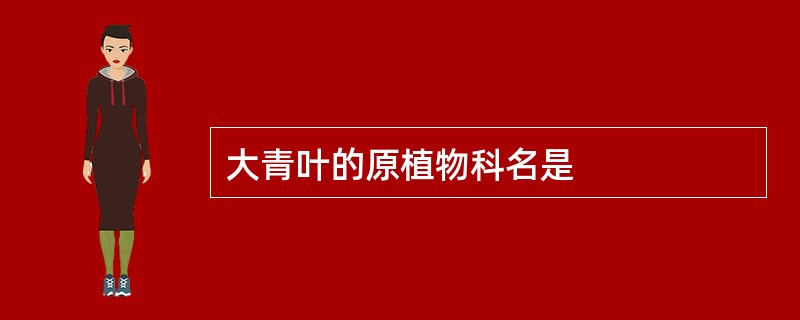 大青叶的原植物科名是