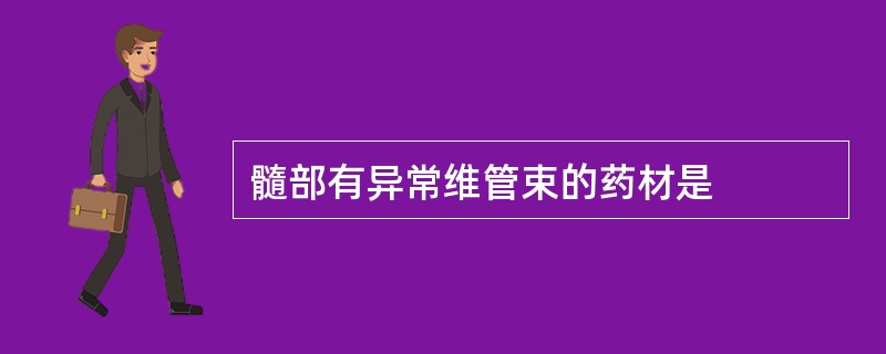 髓部有异常维管束的药材是