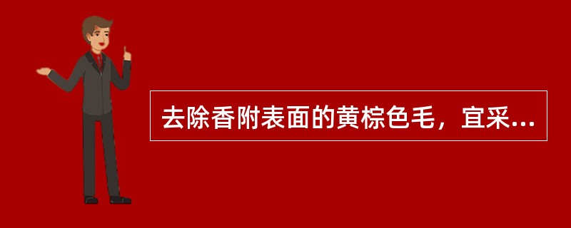 去除香附表面的黄棕色毛，宜采用的方法是