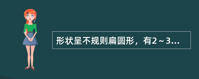 形状呈不规则扁圆形，有2～3个爪状分支的药材是