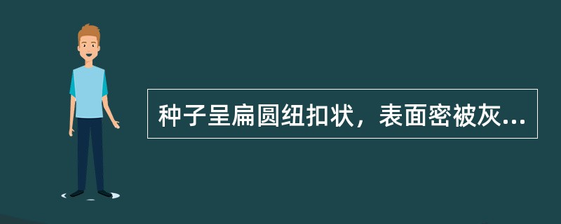 种子呈扁圆纽扣状，表面密被灰棕或灰绿色绢状毛，向四周呈辐射状排列，该药材是